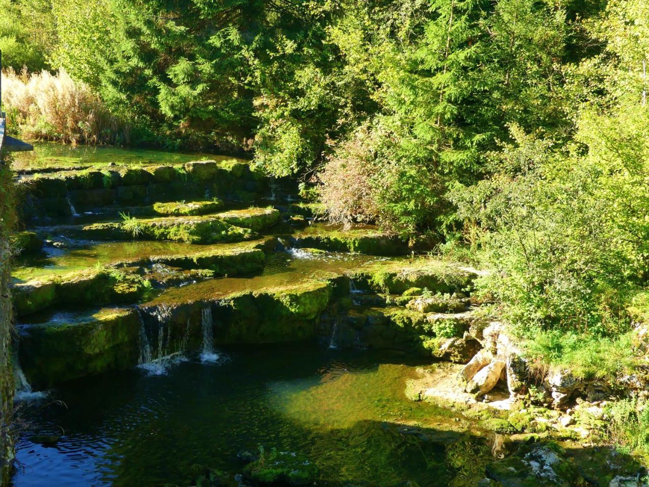 Hotel Aux Truites Bleues Fort-du-Plasne Zewnętrze zdjęcie