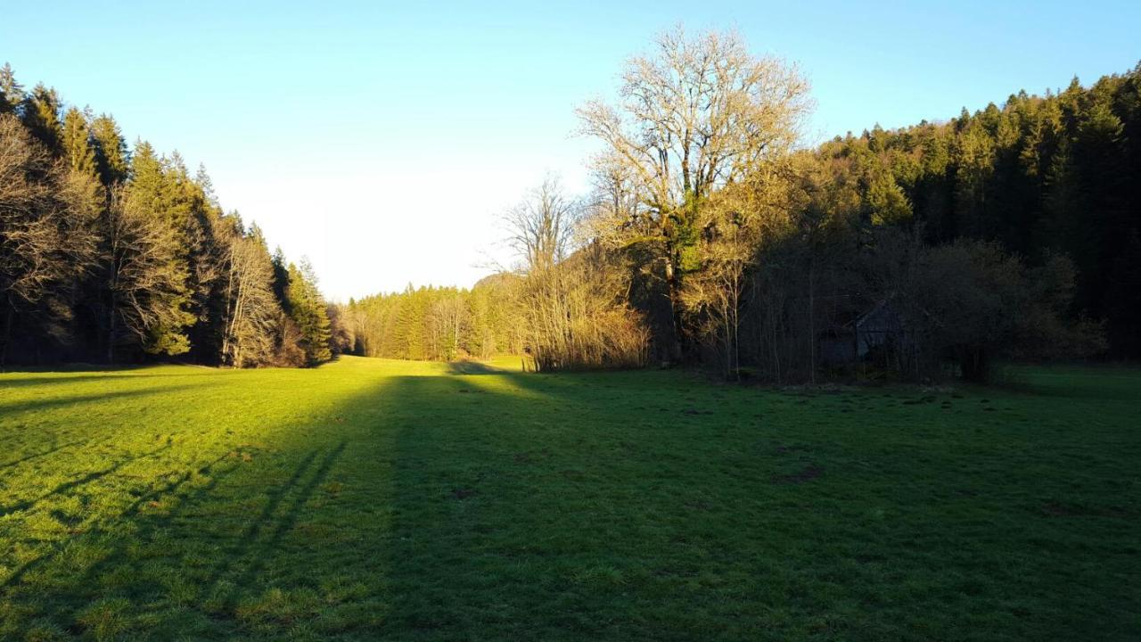 Hotel Aux Truites Bleues Fort-du-Plasne Zewnętrze zdjęcie