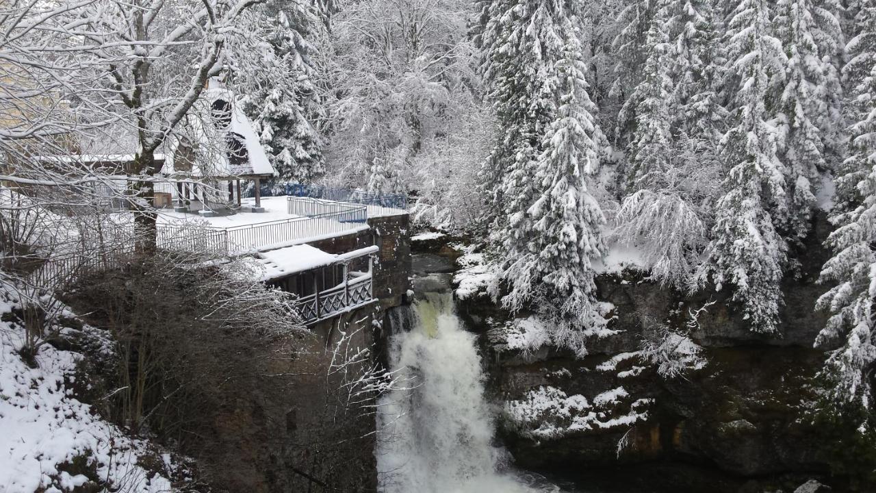 Hotel Aux Truites Bleues Fort-du-Plasne Zewnętrze zdjęcie